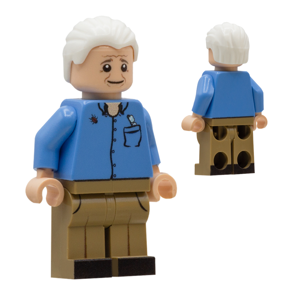 LEGO David Attenborough - custom design minifigure