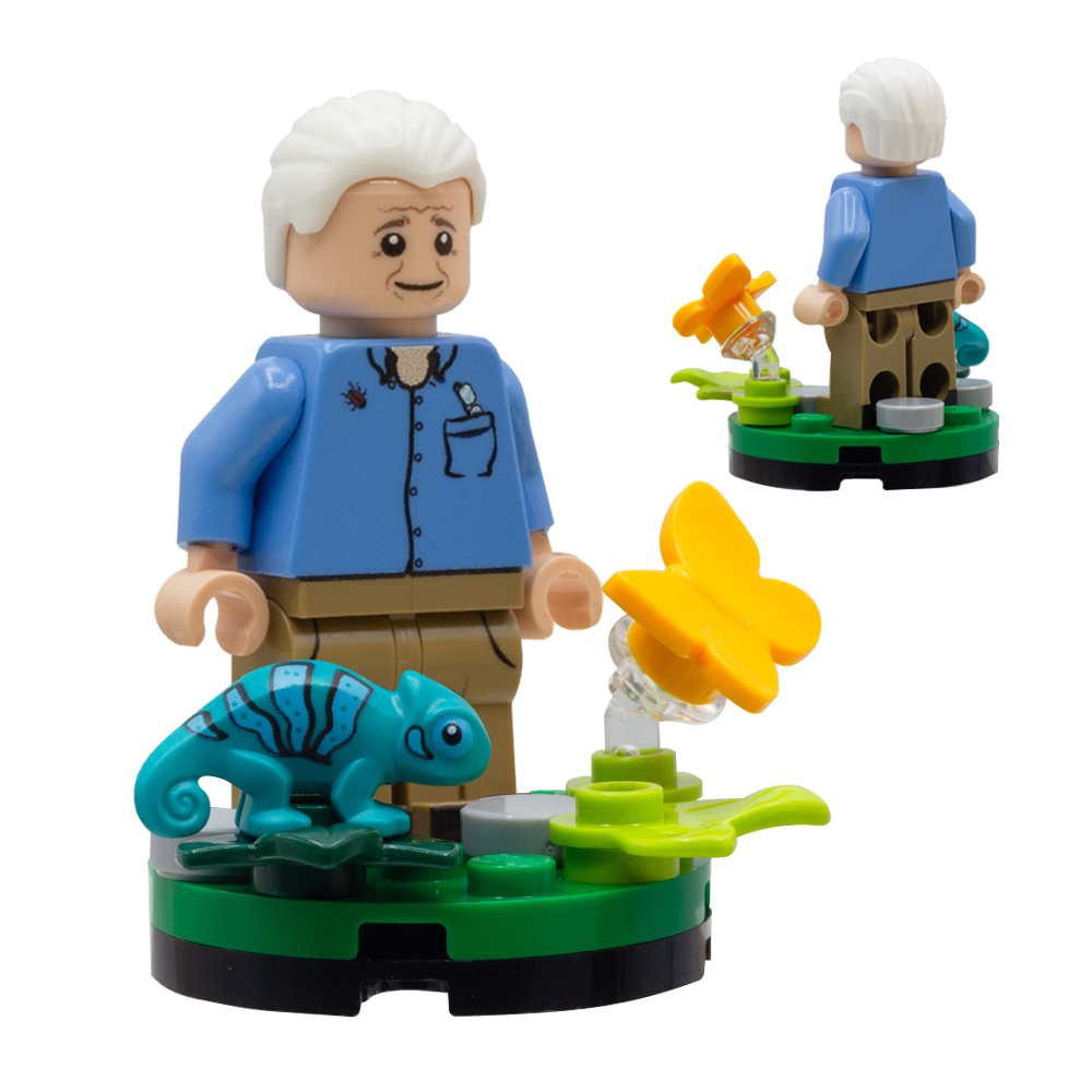 Custom LEGO David Attenborough minifigure wearing blue shirt, standing on a display made from LEGO parts representing grass and plants, with yellow LEGO butterfly and green LEGO chameleon