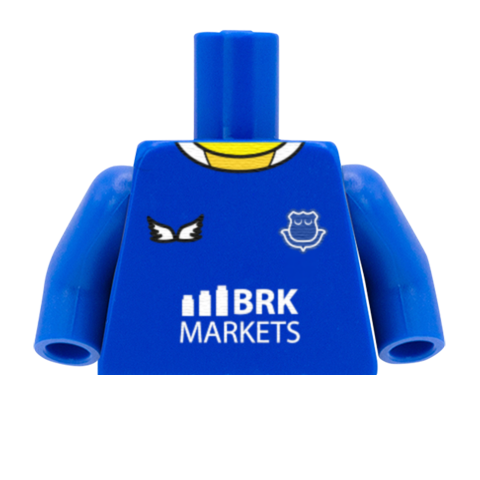 Personalised Everton Shirt - Custom Design Minifigure Torso