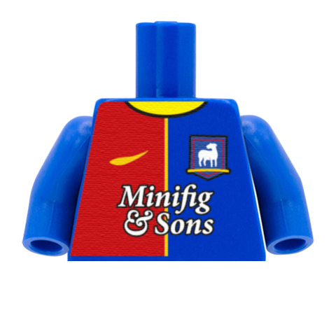 Lady Greyhounds Football Shirt - Custom Design Minifigure Torso