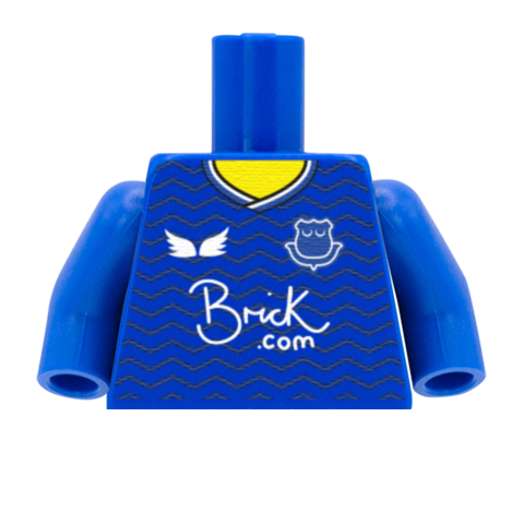Personalised Everton Shirt - Custom Design Minifigure Torso