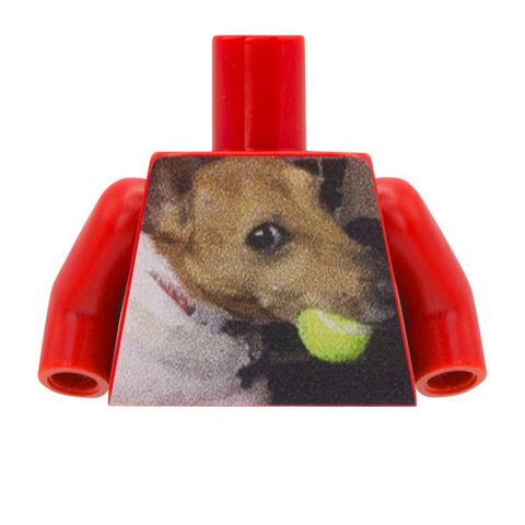 Your Image on a Minifigure Torso - Custom Design Minifigure Torso