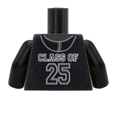 Class of 25 Hoodie (can change year) - Custom Design Minifigure Torso