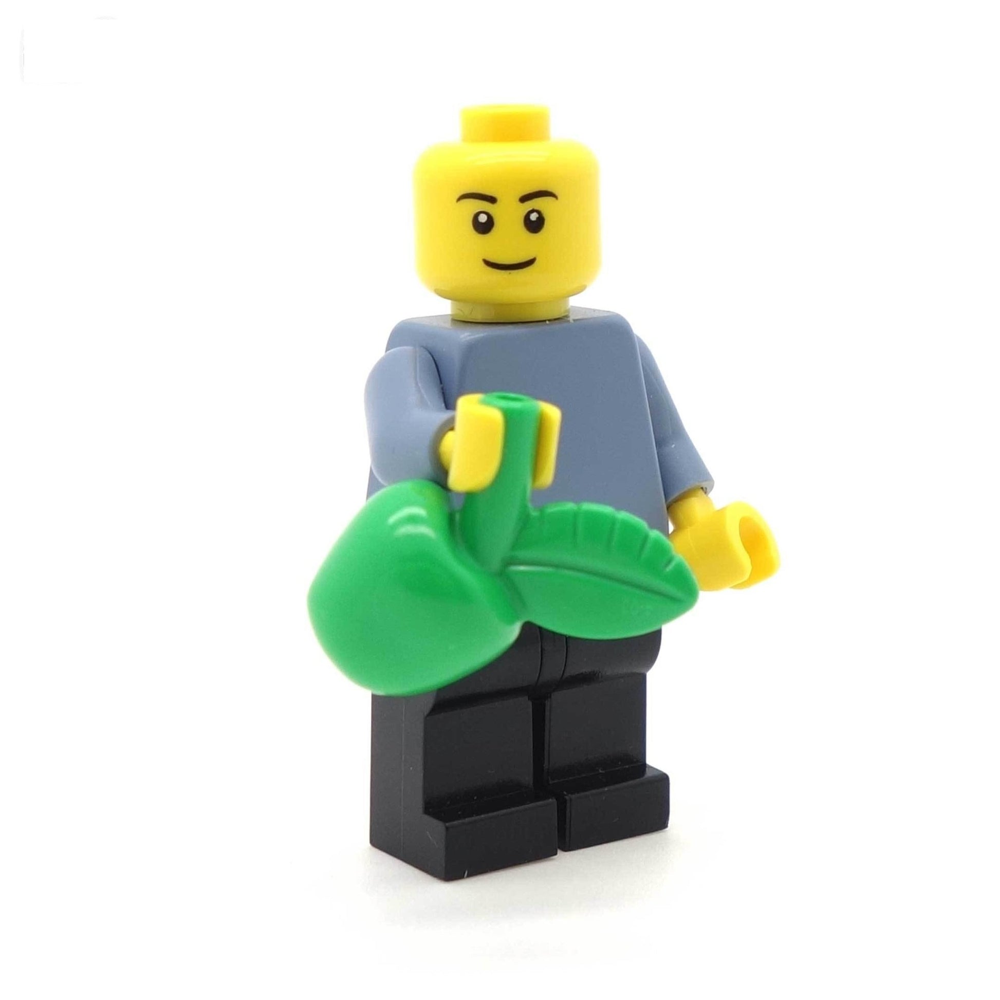 Minifig Holding LEGO Apple