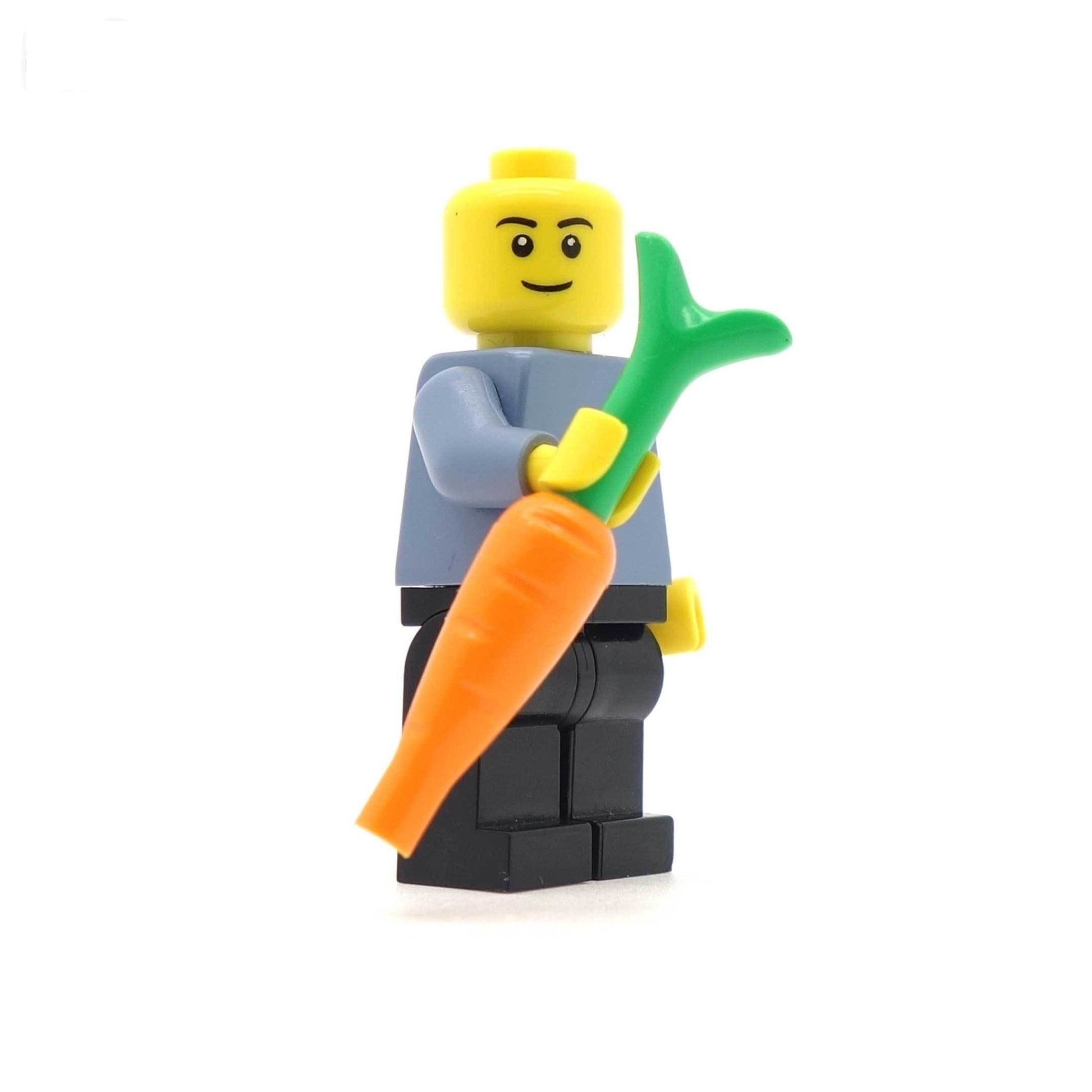 Minifig Holding LEGO Carrot