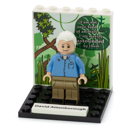 LEGO David Attenborough - custom design minifigure